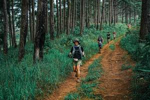 BIB: 
                            <button type="button" onclick="openModal(25653433)" class="btn btn-primary btn-sm float-right btn-popup" data-toggle="modal" data-target=".modal-high-quality">
                        <i class="fas fa-shopping-cart"></i> Add to Cart
                    </button>
                                            <button type="button" onclick="isThisMe(25653433, true)" class="btn btn-success btn-sm float-right btn-popup btn-isme hidden" data-toggle="tooltip" data-placement="bottom" title="นี่คือรูปของคุณใช่ไหม คลิกที่นี่เพื่อเอาเข้าอัลบั้ม">
                        <i class="fas fa-plus"></i> Add to album
                    </button>
                    <button type="button" onclick="isThisMe(25653433, false)" class="btn btn-warning btn-sm float-right btn-popup btn-isnotme hidden">
                        <i class="fas fa-ban"></i> Remove from album
                    </button>